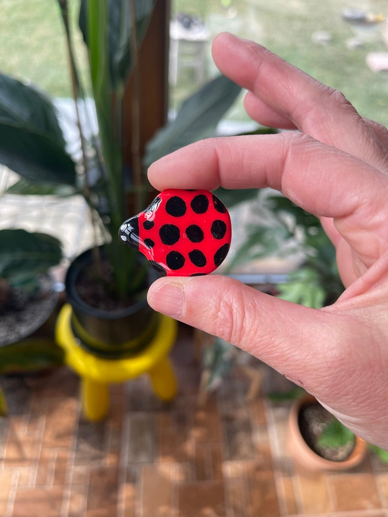 Ladybug