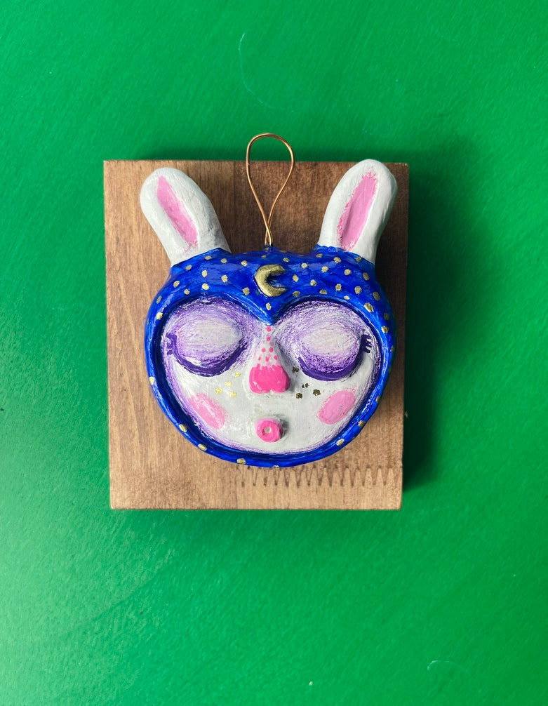 The Dreaming Rabbit (Blue Hood)