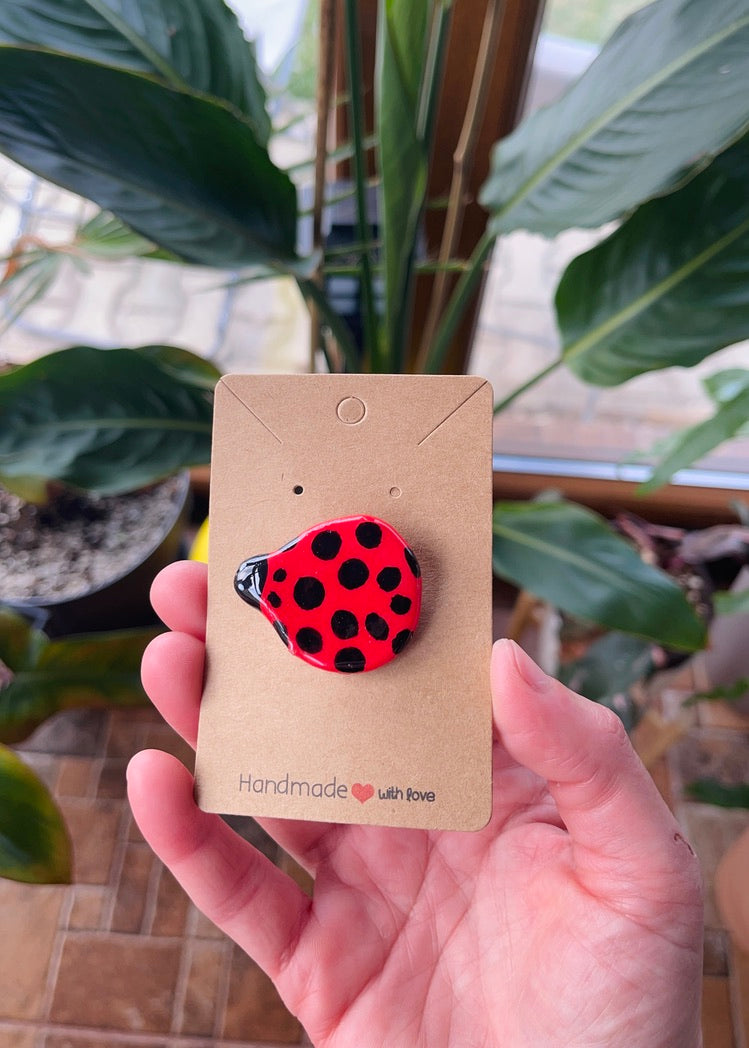 Ladybug