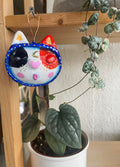 The Dreaming Cat