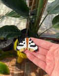 Butterfly – Gold Accent