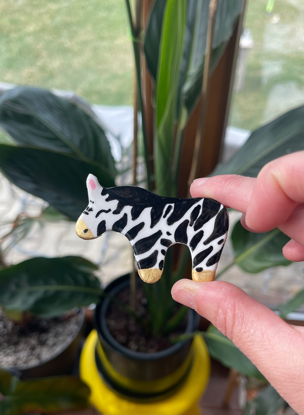 Zebra