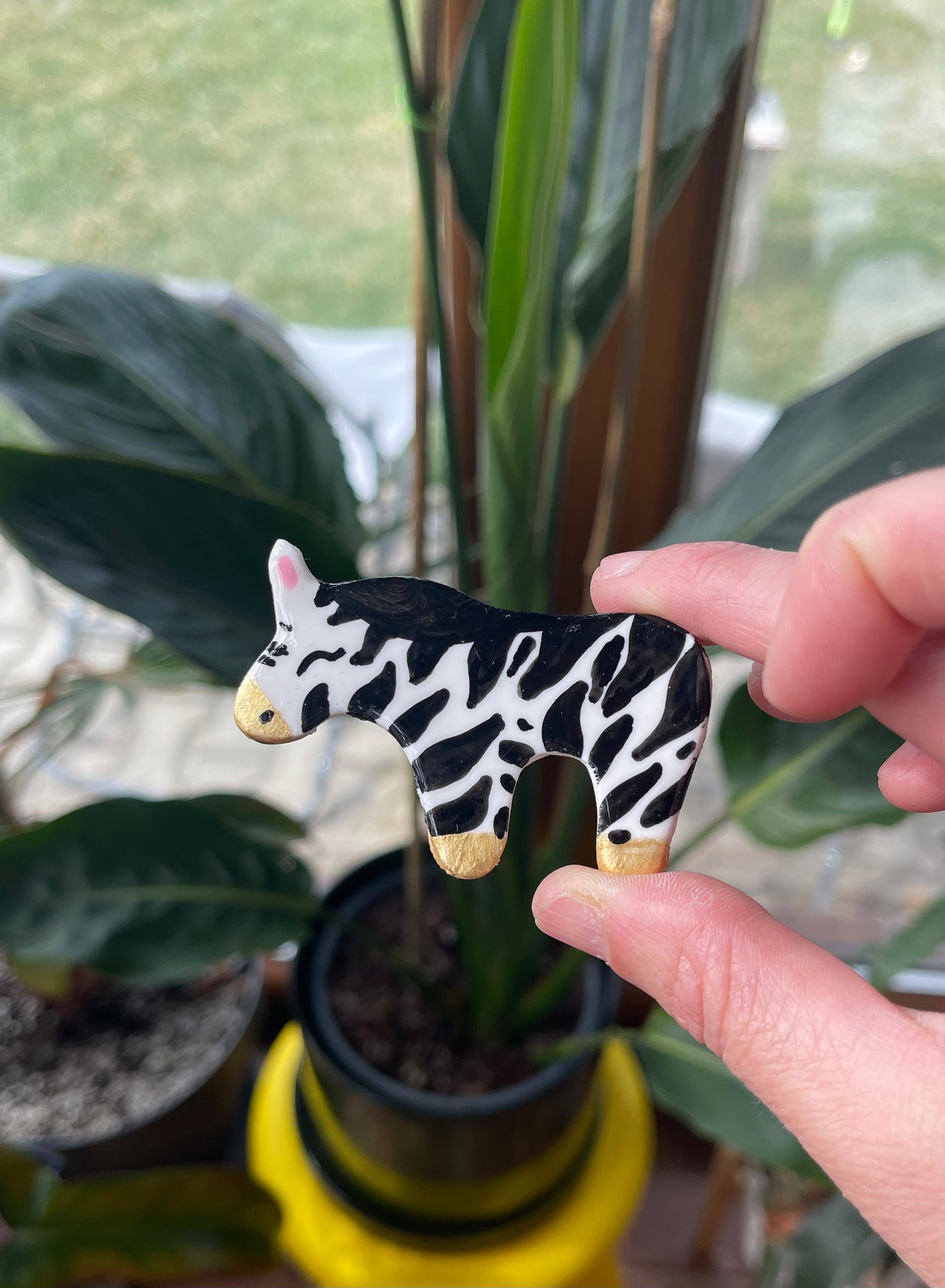 Zebra