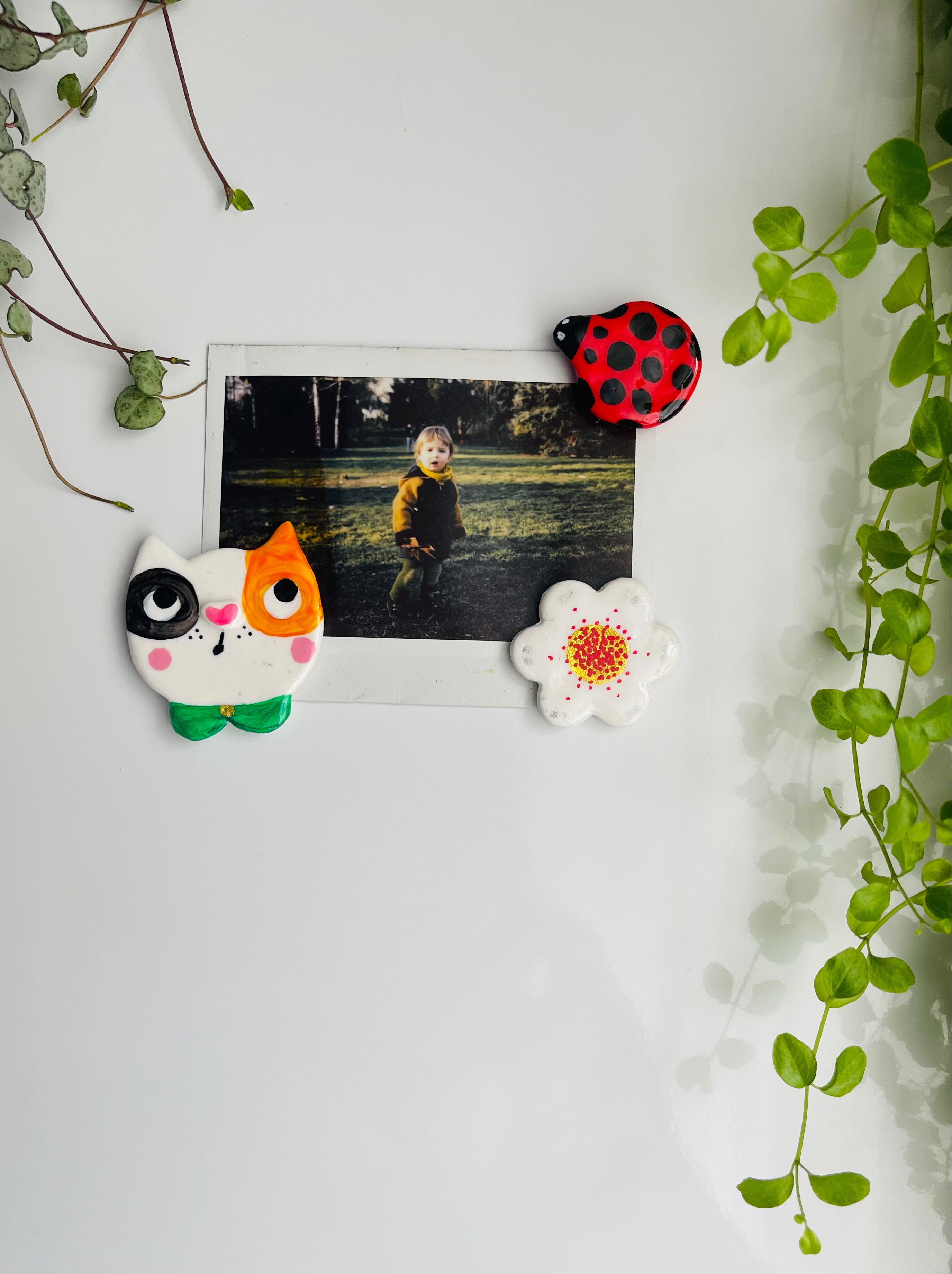 Ladybug