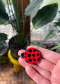Ladybug
